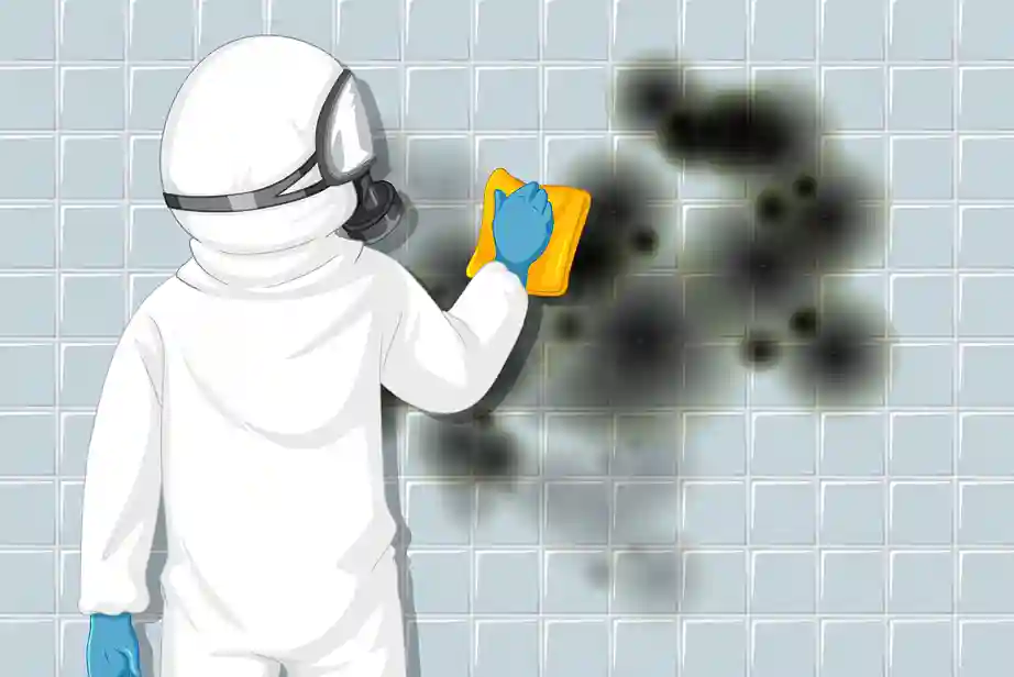 mold testing chicago